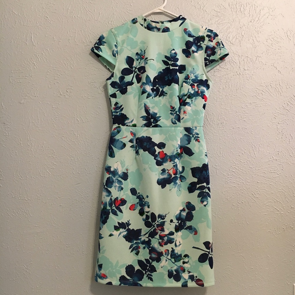 Metaphor Mint Floral Dress